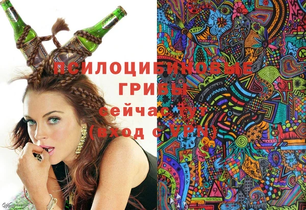 ПСИЛОЦИБИНОВЫЕ ГРИБЫ Бугульма