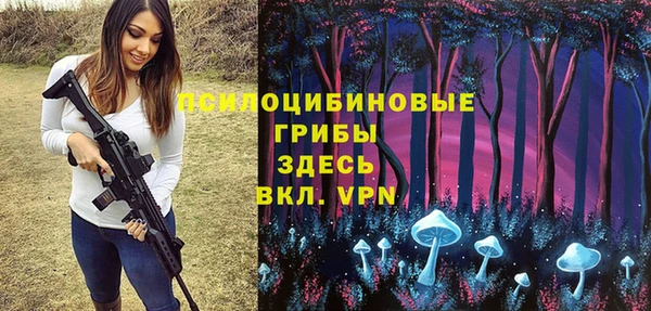 MDMA Бородино
