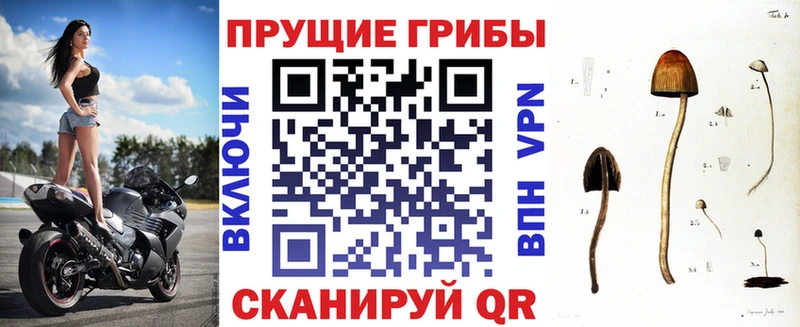 наркошоп  Ярцево  Галлюциногенные грибы мицелий 